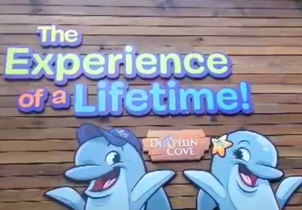 Dolphin Cove Entrance