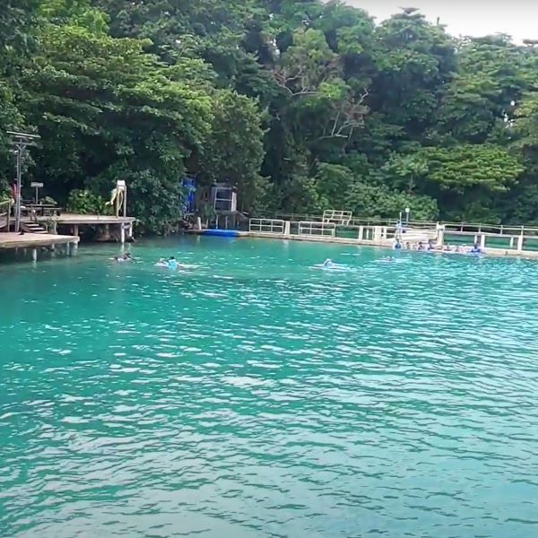 Marine Life Experience