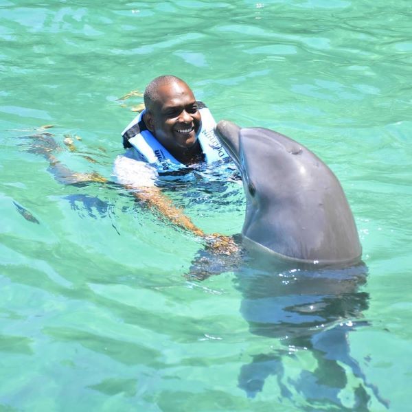 Dolphin Cove Experience