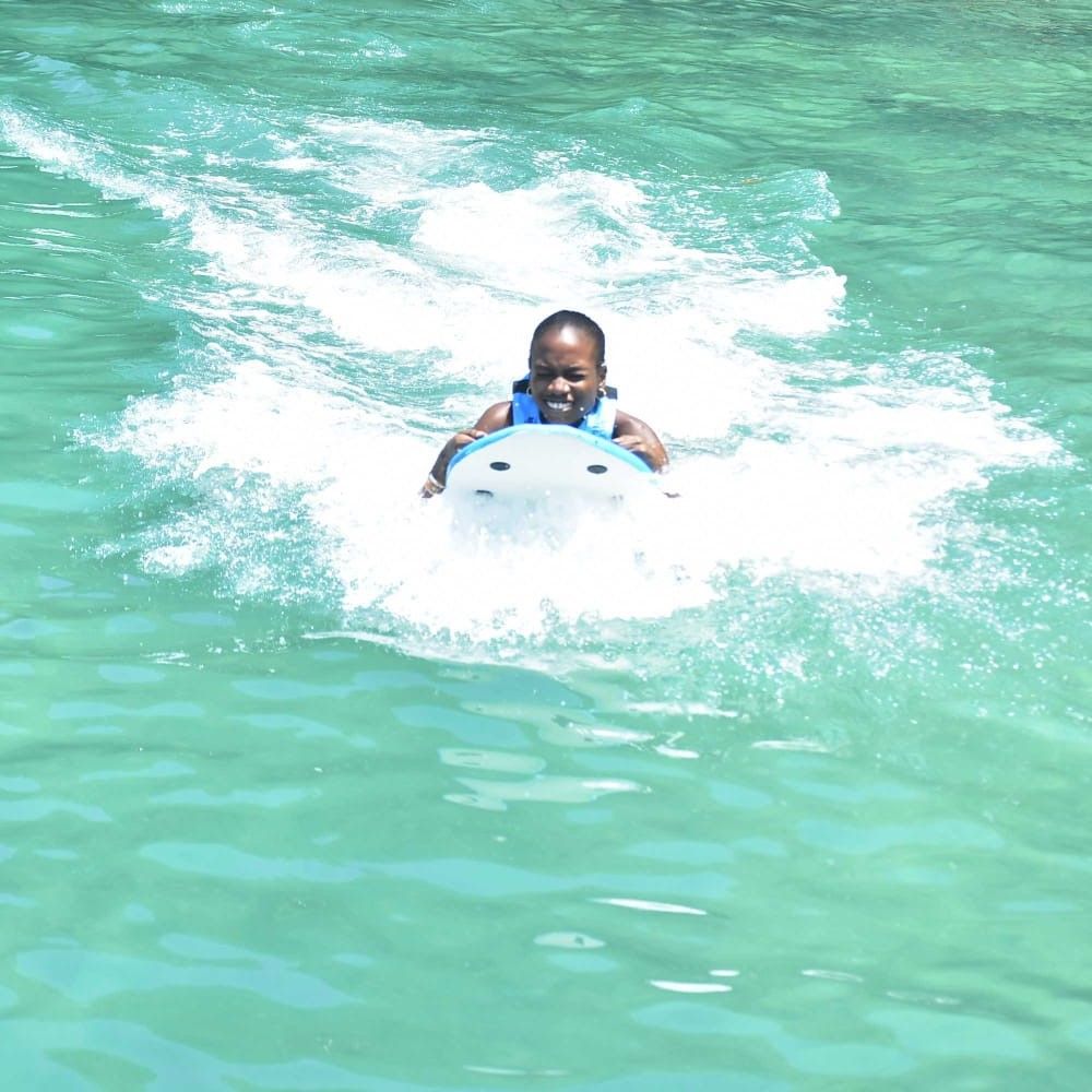 Dolphin Playing
