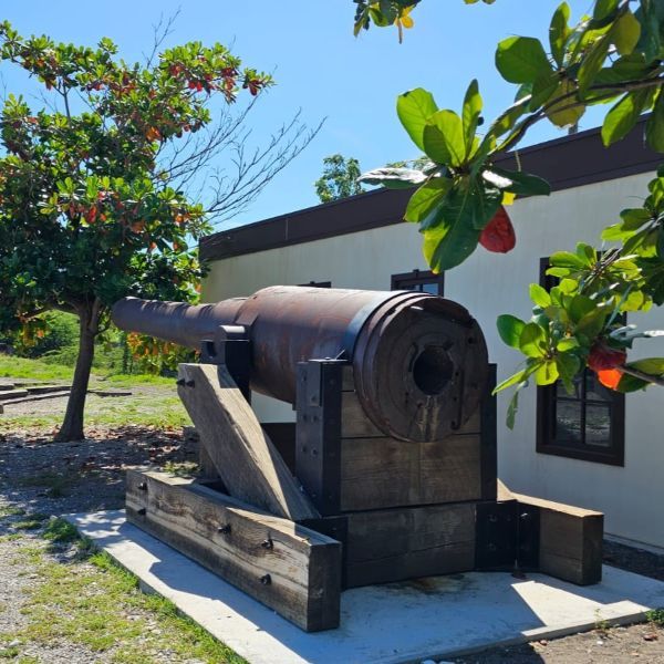 Fort Gun