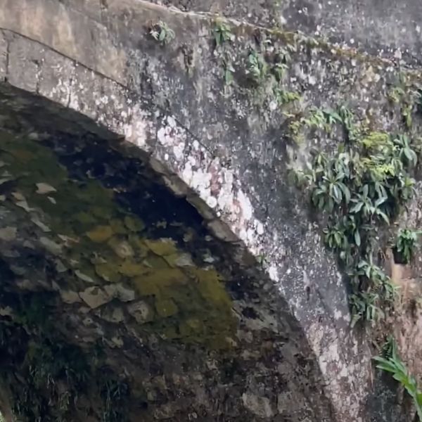 Bridge Structure